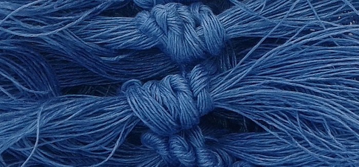 Woad Blue Tekhelet Dyeing